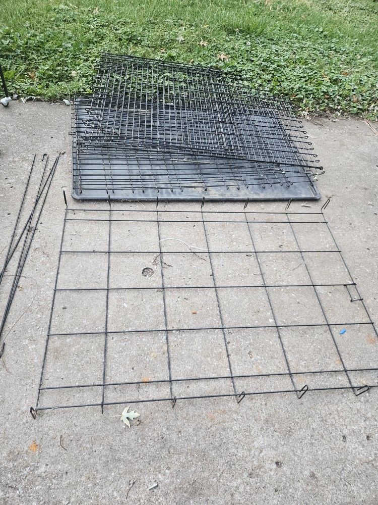 Giant Kennel