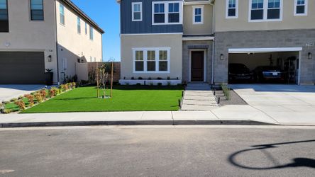 Artificial Grass
