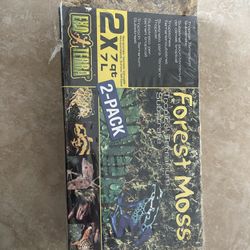forest moss 2-pack 