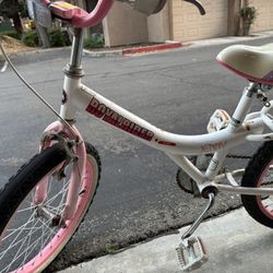 20 Inch Girls Bike