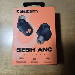 NIB Skullcandy Sesh ANC Active Earbuds Headphones