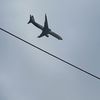 Raf_818