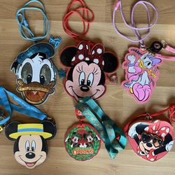 Tokyo Disney Resort Disney Character Pass Case Pouch Face Used