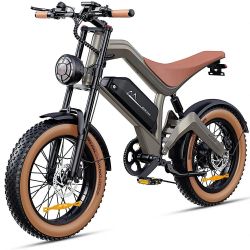 Electric Bike 