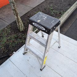 Werner 2' Step Ladder