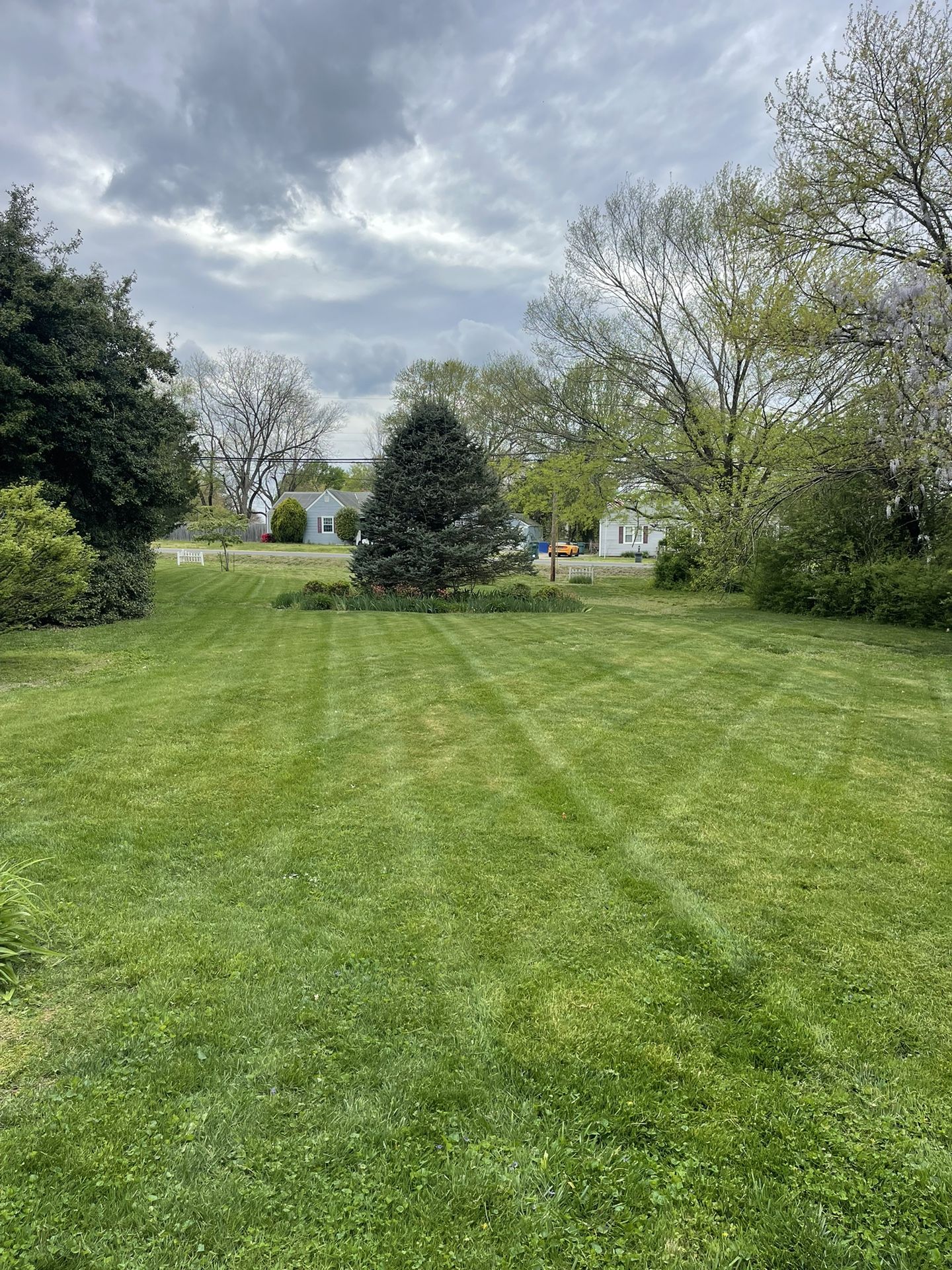 Need A Lawncare Guy?