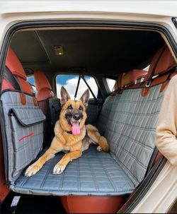 APetsPlanet Backseat Extender for Dogs, Grey Leather,