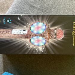 Karaoke Microphone