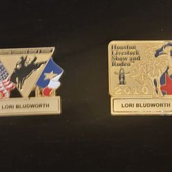 Collection Of Rodeo Pins
