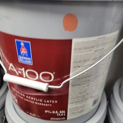 Variedad De Pinturas