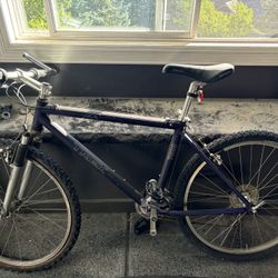 Trek Mountain Bike