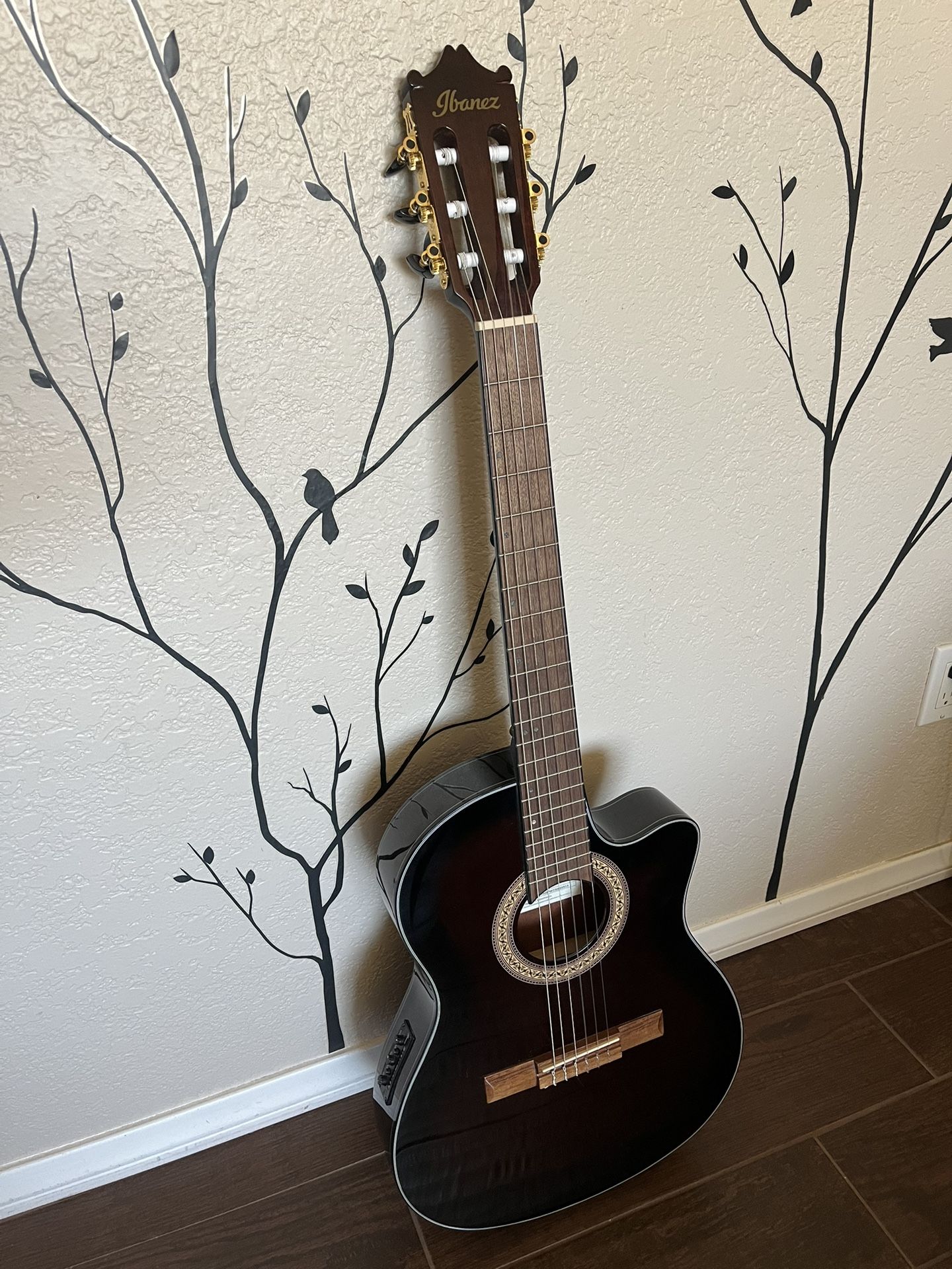 Ibanez Classical Acoustic-Electric Guitar