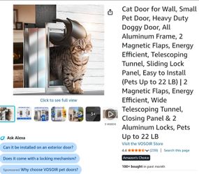Cat door for wall