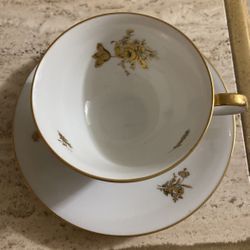 Bavarian cup & saucer