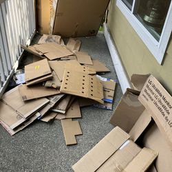 Carboard