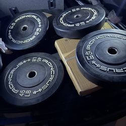 Very nice looking Brand new 45, 35 lb, and 25 lb Olympic weight plates.  Very nice brand new Olympic barbells 6 Ft and 5 Ft. or standard barbell 6 ft