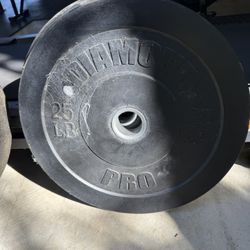 25 lb Bumper Weights (2)