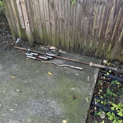 Curl Bars