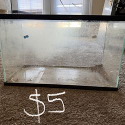 tank enclosure terrarium 
