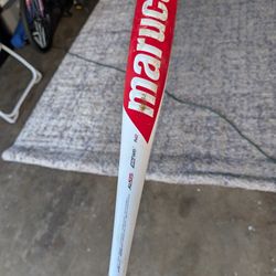 Baseball Bat