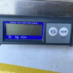 Weight Scale