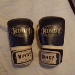 Windy Training Gloves