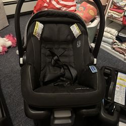 Infant Cat Seat 