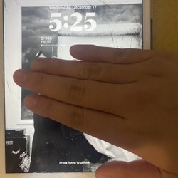 iPad Mini 5 Generation Rose gold 