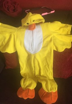 Little chicken