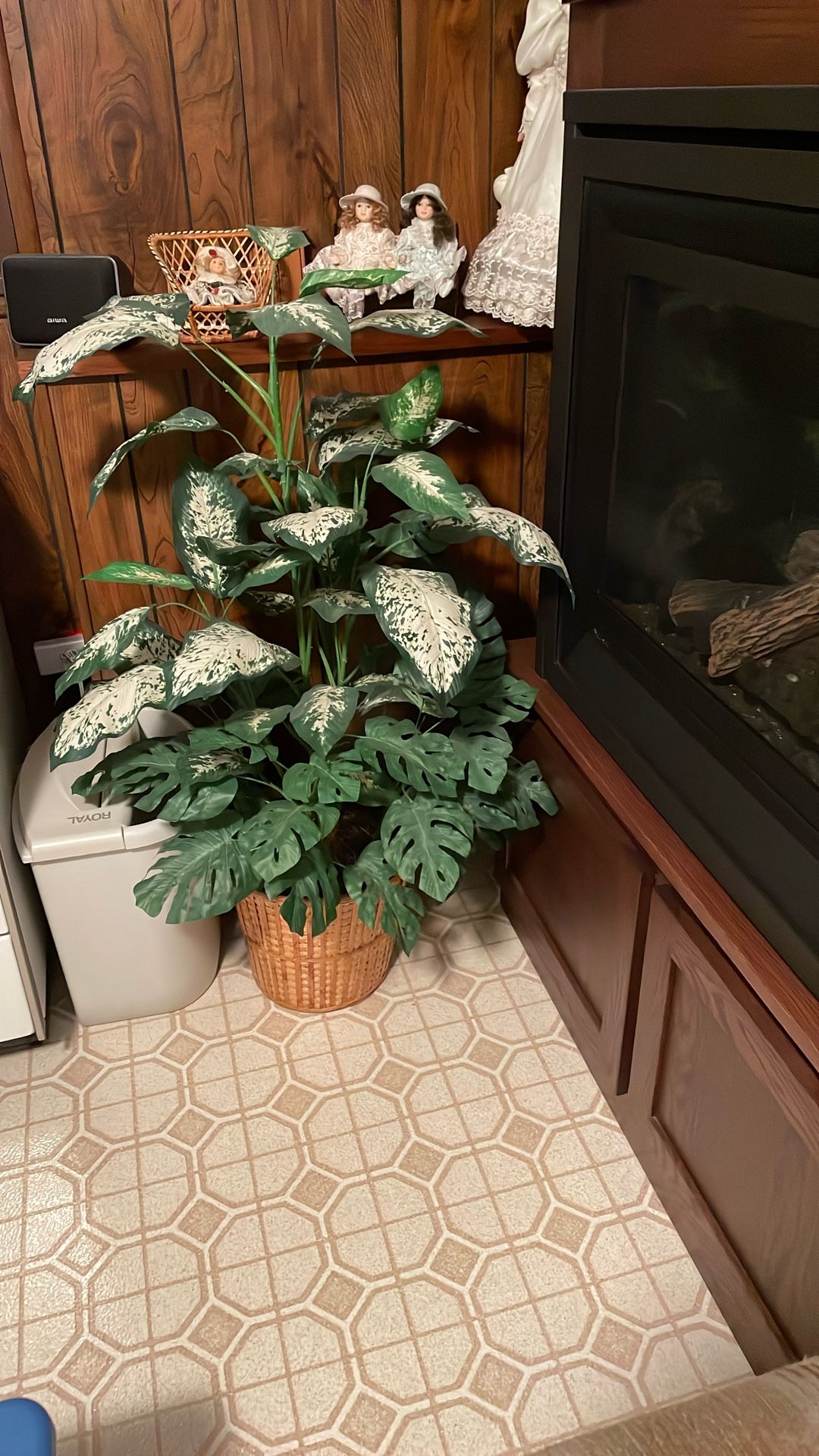 Greenery Plant In A Basket
