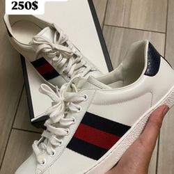 Gucci Aces 