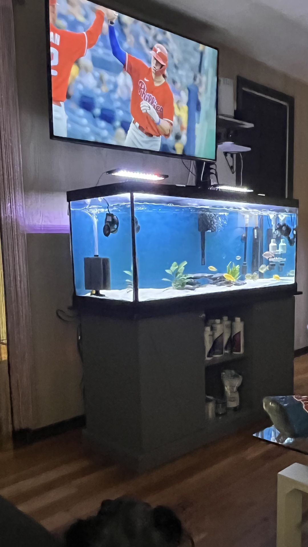 75gal Aquarium With Everything