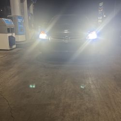 ** LEDs Bulbs **