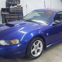 2004 Ford Mustang GT Convertible 40th Anniversary Deluxe Edition 