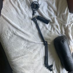Microphone