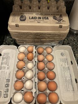 Chicken Eggs For Sale -our coop to your kitchen…