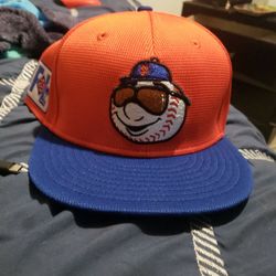 Official Mets Springfield Training Hat