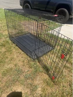 Kong Large Dog Crate