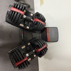 Bowflex 552 Dumbbells and Dumbbell Stand 
