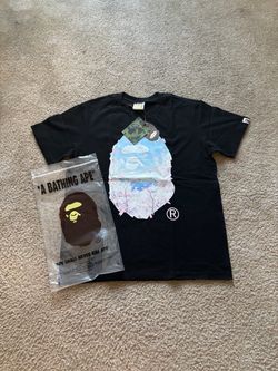 Mount Fuji BAPE graphic tee 🗻