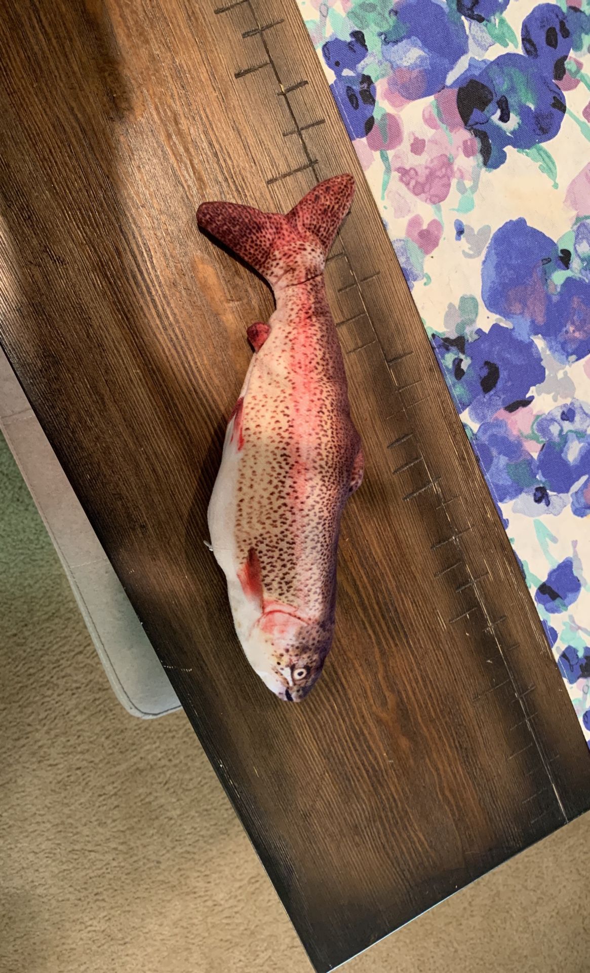 Rainbow Trout Cat toy