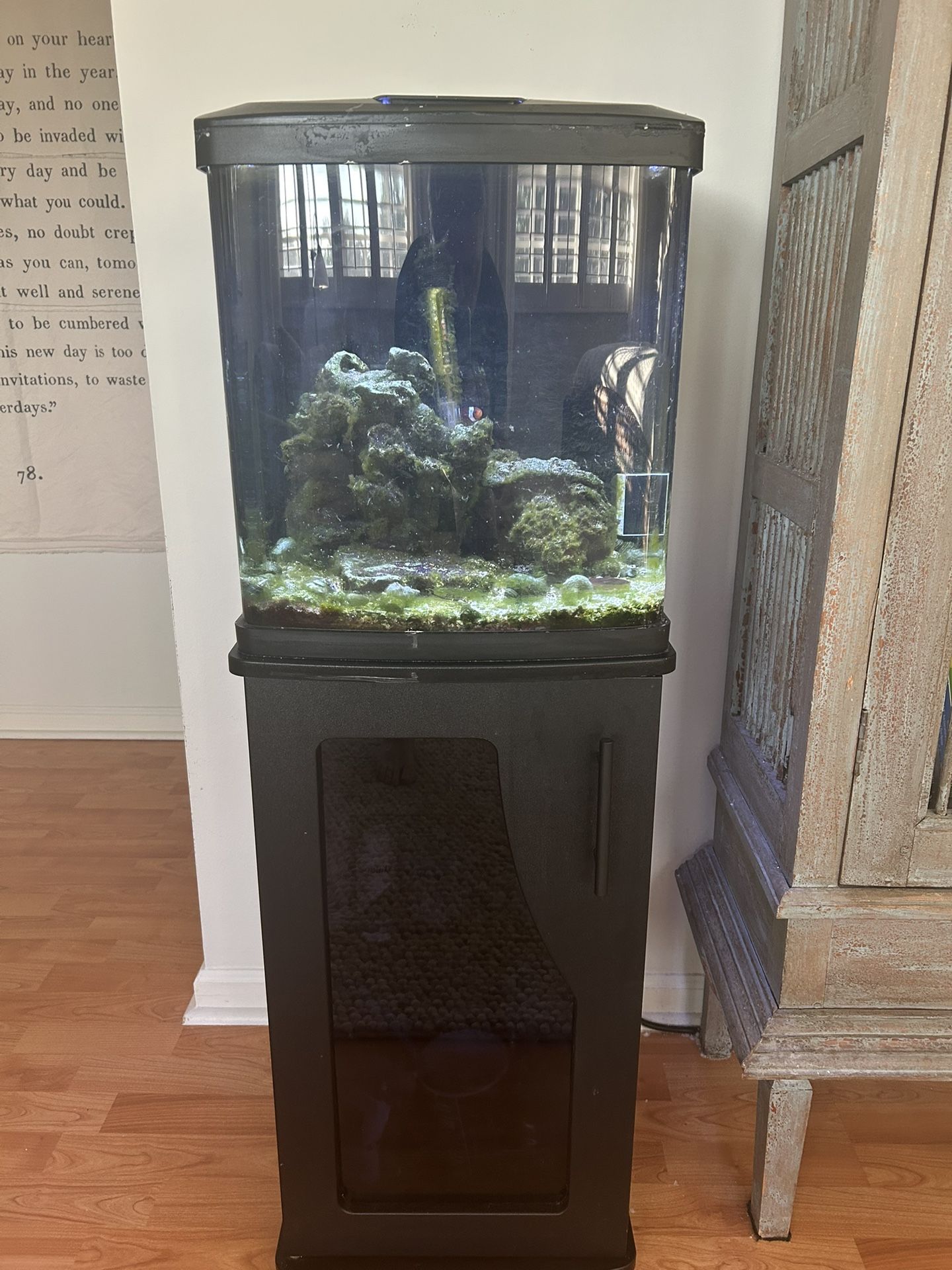 Bio Cube Aquarium with Clown Fish