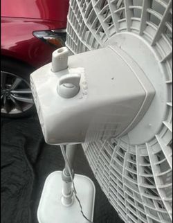 Fan very good condition very heavy juicy 21 inch diameter