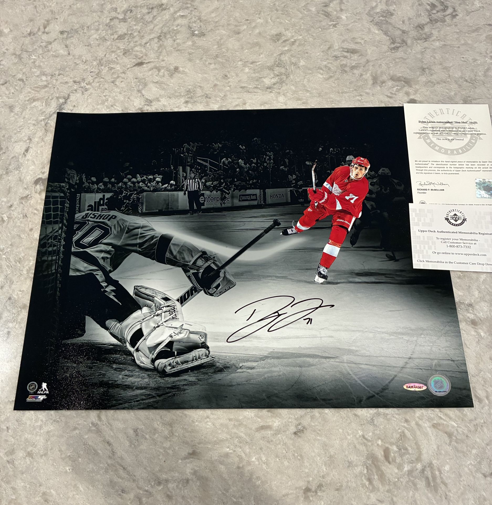 Dylan Larkin Signed 16x20 Photo – Authentic COA