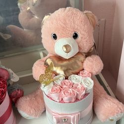 Osito De Peluche Musical, Musical 🎵 Bear For Valentines 