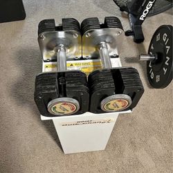 HOIST Adjustable Dumbbells with Stand 
