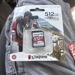 Kingston SD Card 512 Gb Storage ($125 On Amazon) 