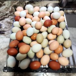 Fresh Orgsnic Farm Eggs 
