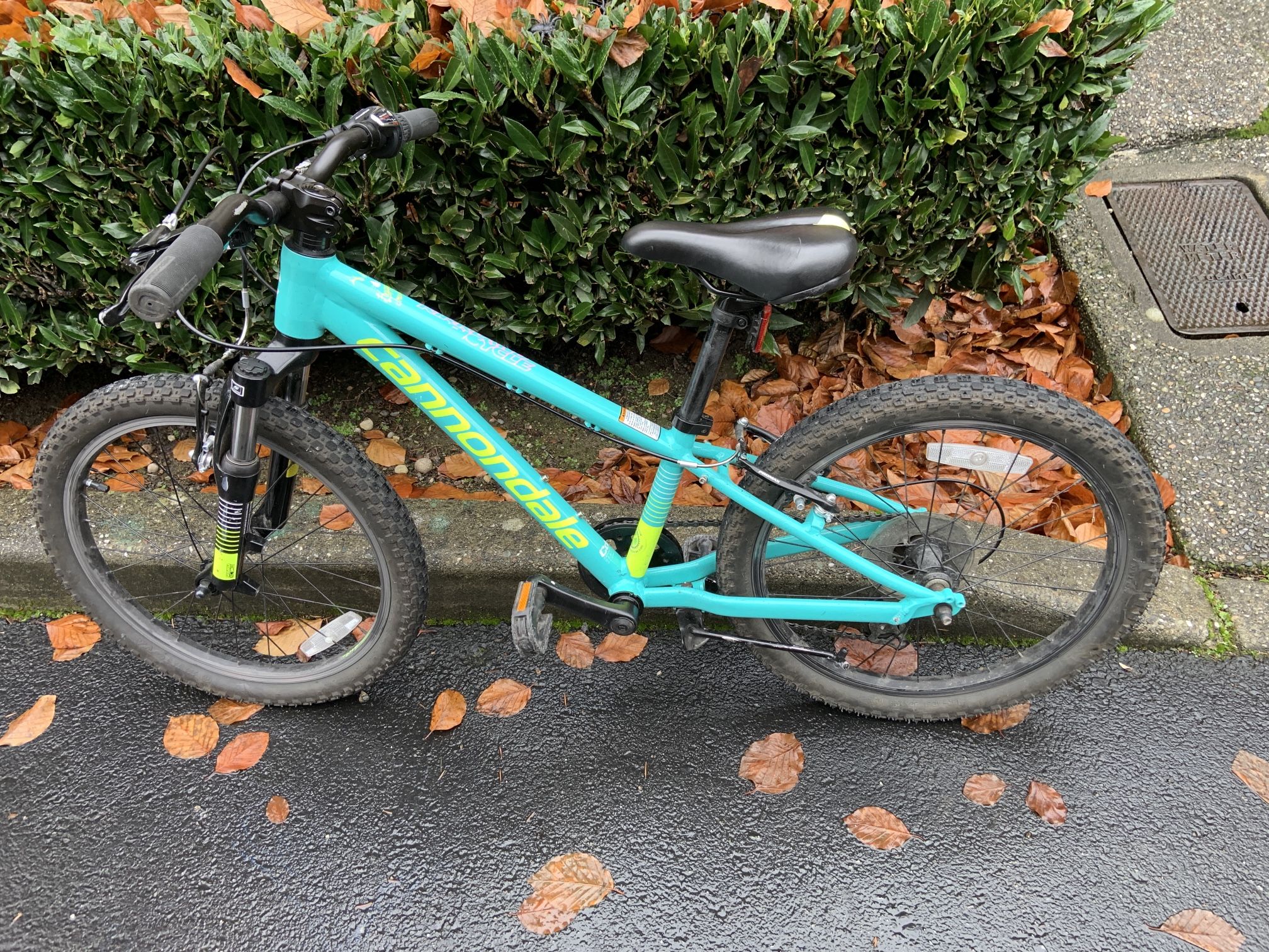 Cannondale 20” Kids Bike. Shimano Touring