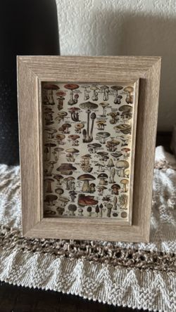 4x6 Mushroom Illustration Picture 